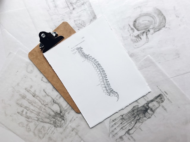 Best beds for lower back pain providing optimal spinal alignment and pressure relief.